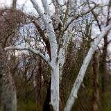 IMG_5013 - Version 2